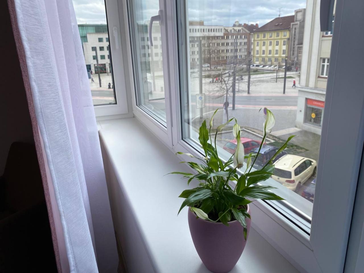 Apartamento Perla Hradce 202 Hradec Králové Exterior foto